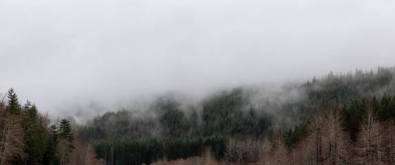 Beautiful Panoramic View of Canadian Nature Landscape during a cloudy day. Taken between Tofino and Port Alberni, Vancouver Island, British Columbia, Canada.