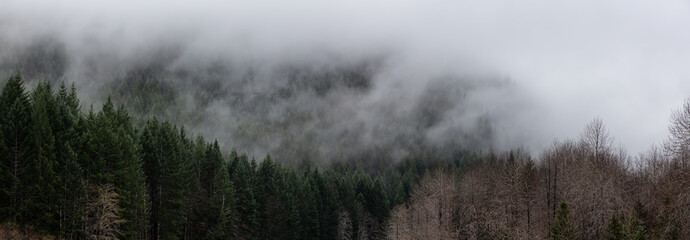 Beautiful Panoramic View of Canadian Nature Landscape during a cloudy day. Taken between Tofino and Port Alberni, Vancouver Island, British Columbia, Canada.