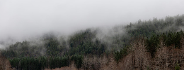 Beautiful Panoramic View of Canadian Nature Landscape during a cloudy day. Taken between Tofino and Port Alberni, Vancouver Island, British Columbia, Canada.