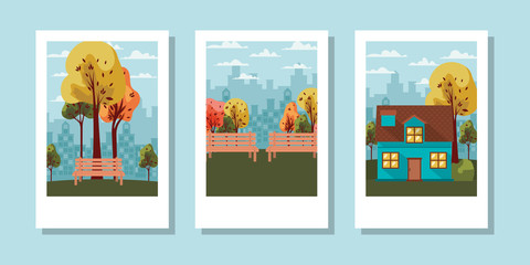 City house and park vector design