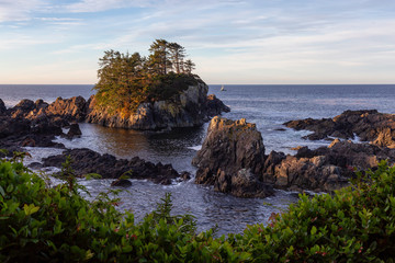 Wild Pacifc Trail, Ucluelet, Vancouver Island, BC, Canada. Beautiful View of the Rocky Ocean Coast during a colorful and vibrant morning sunrise.