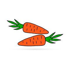 doodle carrots icon isolated on white, kids hand drawing art line, vector illustration