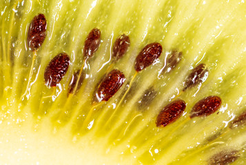 Seeds on a sliced green kiwi as a background