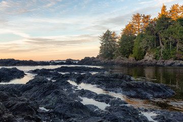 Wild Pacifc Trail, Ucluelet, Vancouver Island, BC, Canada. Beautiful View of the Rocky Ocean Coast during a colorful and vibrant morning sunrise.