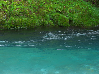水の流れ 神崎川 長良川水系 岐阜県　日本