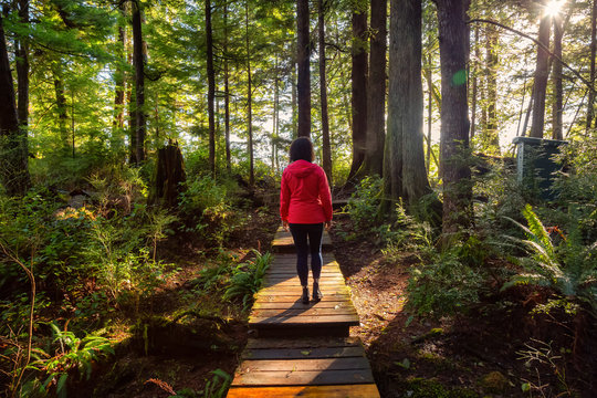 Adventurous Girl walking on a Beautiful Wooden Path in the Woods with colorful green trees leading to Kennedy Lake. Taken near Tofino, Vancouver Island, BC, Canada.