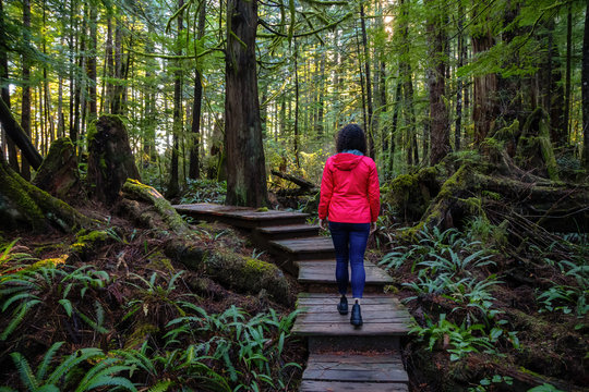 Adventurous Girl walking on a Beautiful Wooden Path in the Woods with colorful green trees leading to Kennedy Lake. Taken near Tofino, Vancouver Island, BC, Canada.