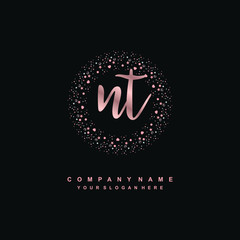 NT Beauty vector initial logo, handwriting logo of initial signature, wedding, fashion, jewerly, boutique, floral and botanical with creative template for any company or business