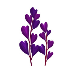 Abstract Colorful Plant Isolated on White Background