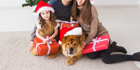 Fototapeta na wymiar Pet, holidays and festive concept - Family with dog are lying on floor near christmas tree, close-up