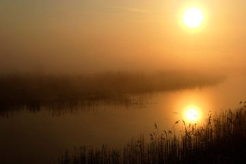 Sunrise on the oxbow lake of the Drava River, Croatia