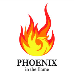 Phoenix in the flame illustrations for icons or logos