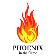 Phoenix in the flame illustrations for icons or logos