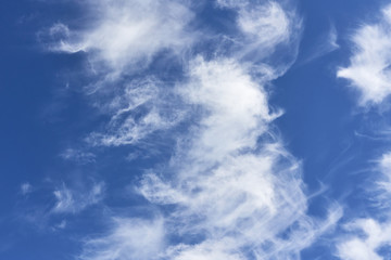 Fototapeta premium White clouds on blue sky