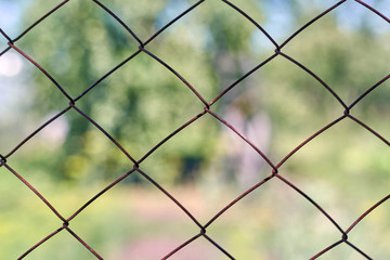 Views blurred summer landscape through the iron mesh