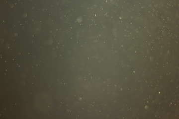 Bokeh and rain pictures