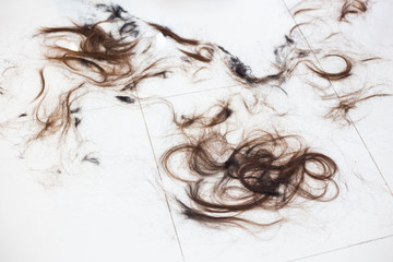 hair cut off on the floor isolate on white background.