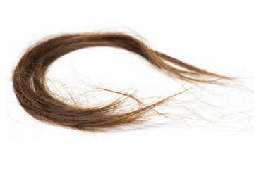 hair cut off on the floor isolate on white background.