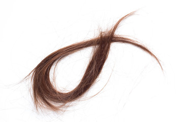 hair cut off on the floor isolate on white background.
