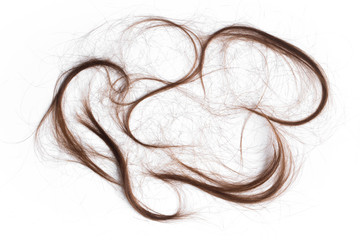 hair cut off on the floor isolate on white background.