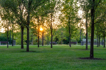 Evening in the City Park
