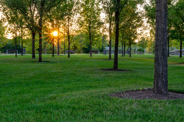Obraz premium Evening in the City Park