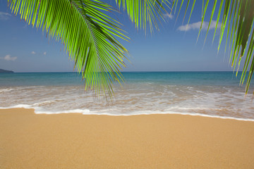 Fototapeta na wymiar Tropical beach with palm leaves and sea and sky
