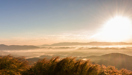 Sunrise over mountain with mist in the morning on Doi Sa Ngo in Chiang Rai province, Thailand