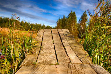 River pier in sedge and calamus. Relaxation and relaxation on the beach. Belarus. Salihorsk.