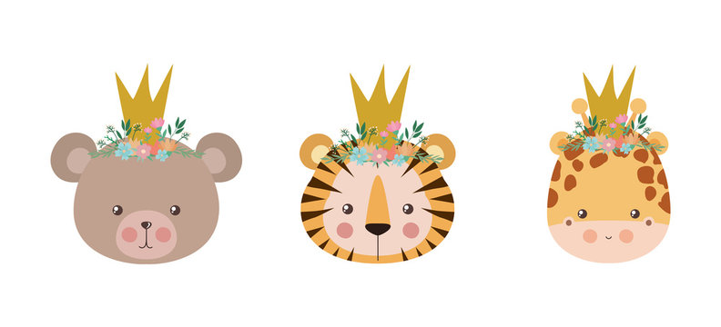 Cute bear tiger and giraffe vector design