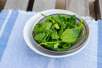 Soaked washed green spinach leaves in strainer. Vegan, vegetarian healthy food. 