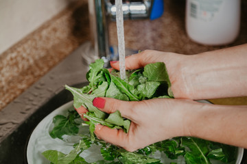 Hands of woman washing green leaves of arugula