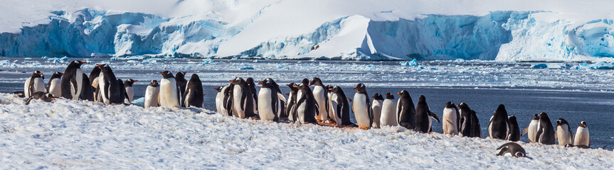 Antarctica