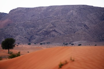 desert in emirates by mountains