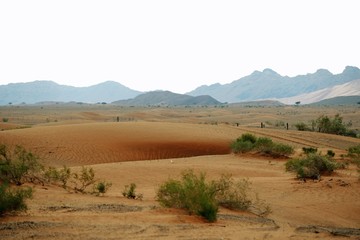 rural landscape in the desert with sand dunes and mountain peaks