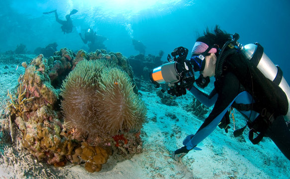 Female Underwater Photographer taking photograph of clown anemonefish under sunlight
