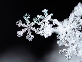 winter card, crystals of snow, winter photo