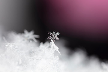 winter card, crystals of snow, winter photo