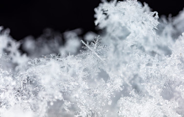 winter card, crystals of snow, winter photo