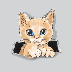 Cute cat in in ripped paper cartoon illustration. Funny little kitten
