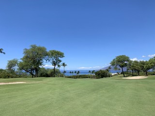 Fototapeta na wymiar パラダイス・ゴルフ・イン・ワイレア・マウイ島