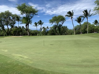 Obraz premium ワイレアＧＣ エメラルドＣ （マウイ島）