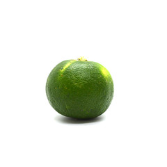 lemon on white image background