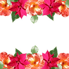 Beautiful floral background of poinsettia and orange roses. Isolated