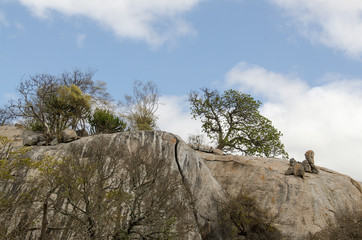 Rochers , Parc national Kruger, Afrique du Sud