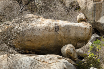 Rochers , Parc national Kruger, Afrique du Sud