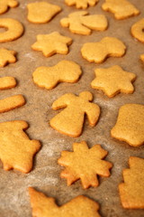 Freshly baked gingerbread cookies. Making Christmas Gingerbread Cookies