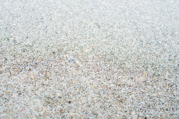 The first snow fell on the road