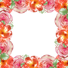 Beautiful floral background of pink and orange roses. Isolated
