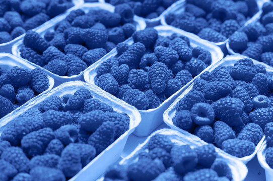 Fresh raspberry on a market in paper box containers. Photographed at an angle from above, image monochrome toned. Color of the year. Beautiful blue background for design.
